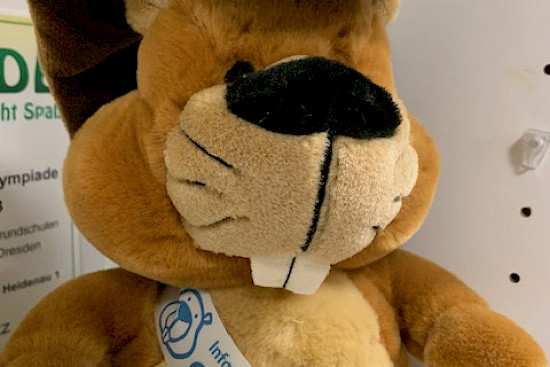 Informatikbiber 2026 - 1. Platz